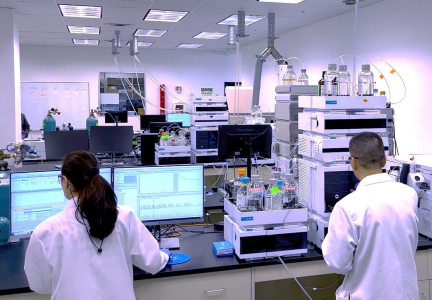 Performance & Quality Testing Performance & Quality Testing