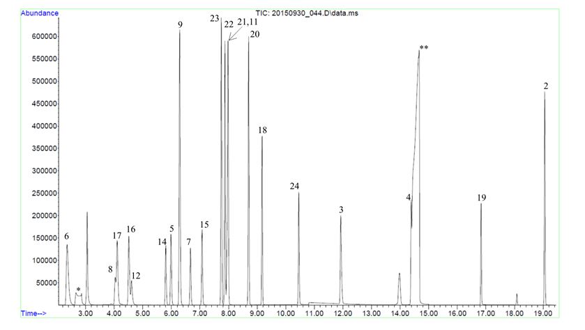Total Ion Chromatogram Total Ion Chromatogram